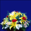Smiling Spring - Click here to View more details about this Product